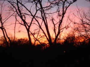 grave yard sun set