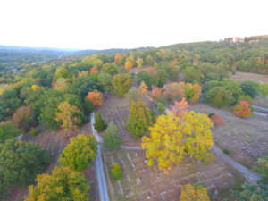 Cemetery Trees Changing Colors