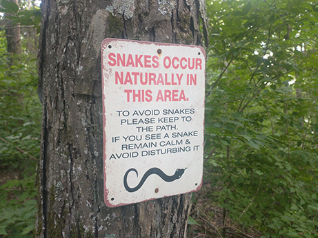 Snake_Sign Treat Snakes with Respect